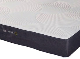 Mighty Mattress